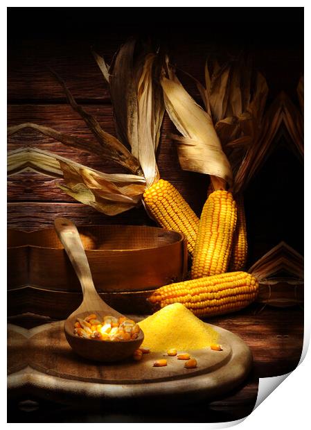 maize with corns and polenta Print by Alessandro Della Torre