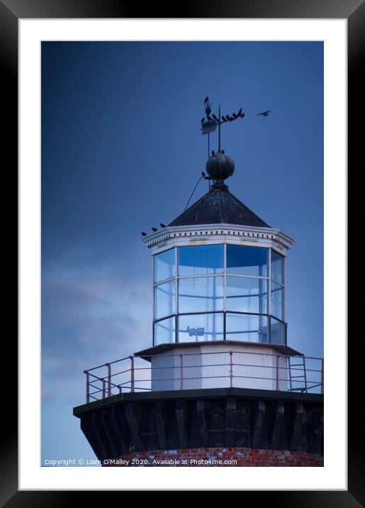 Perched on Hoylake Lighthouse Framed Mounted Print by Liam Neon