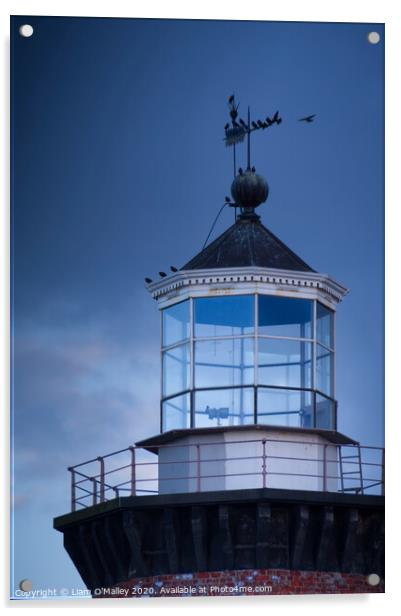Perched on Hoylake Lighthouse Acrylic by Liam Neon