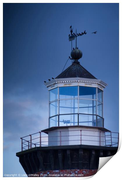 Perched on Hoylake Lighthouse Print by Liam Neon