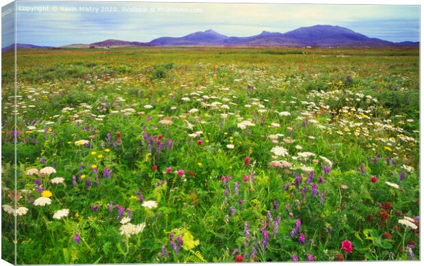 Wild flowers of the Machair, North Uist Canvas Print by Navin Mistry