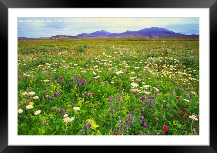 Wild flowers of the Machair, North Uist Framed Mounted Print by Navin Mistry