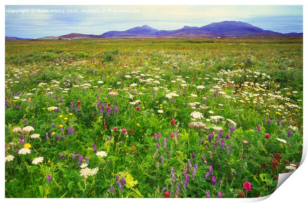 Wild flowers of the Machair, North Uist Print by Navin Mistry
