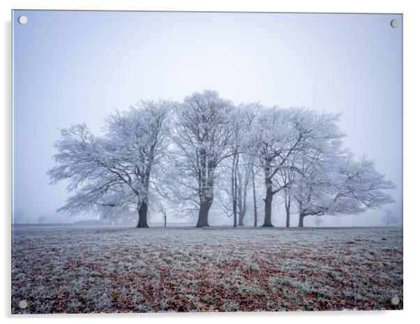 frosty winter trees near Knaresborough Acrylic by mike morley
