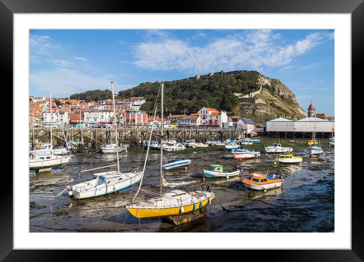 Low tide in Scarborough harbour Framed Mounted Print by Jason Wells