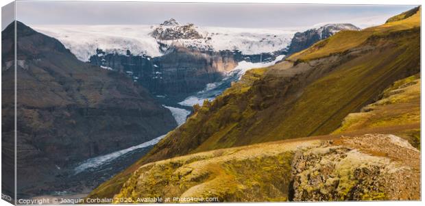 Huge glacier, view of the tongue and its large blocks of ice. Canvas Print by Joaquin Corbalan
