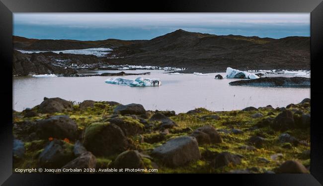 Large blocks of broken ice from an Icelandic glacier. Framed Print by Joaquin Corbalan