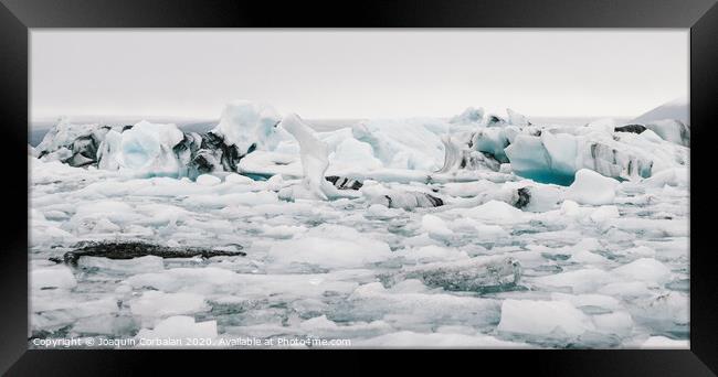 Large icebergs detached from the tongue of a glacier reaching the coast, in Iceland, paradise for adventurers. Framed Print by Joaquin Corbalan