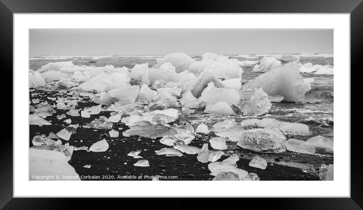 Giant ice blocks detached from icebergs on the coast of an Icelandic beach. Framed Mounted Print by Joaquin Corbalan