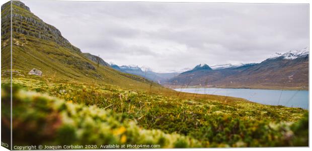 Landscape of green and leafy pastures in the mountainous valleys of Iceland. Canvas Print by Joaquin Corbalan