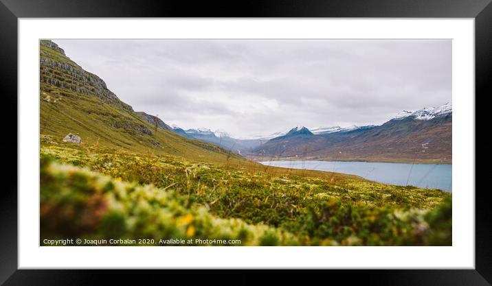 Landscape of green and leafy pastures in the mountainous valleys of Iceland. Framed Mounted Print by Joaquin Corbalan