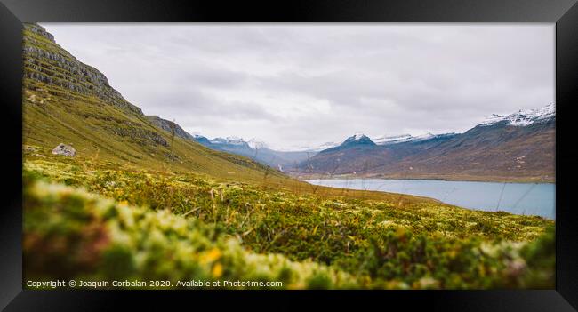 Landscape of green and leafy pastures in the mountainous valleys of Iceland. Framed Print by Joaquin Corbalan