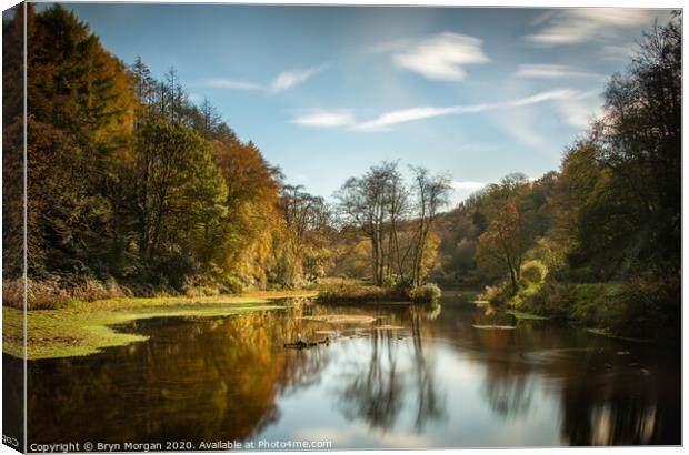 The lake at Penllergare valley woods Canvas Print by Bryn Morgan