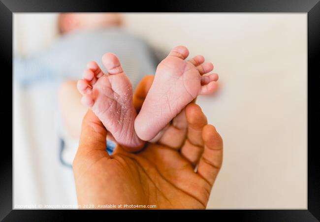 Newborn feet skinning held by mommy Framed Print by Joaquin Corbalan
