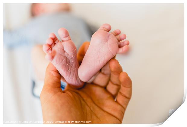 Newborn feet skinning held by mommy Print by Joaquin Corbalan