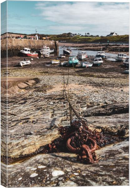 Cemaes harbor Canvas Print by Kevin Elias