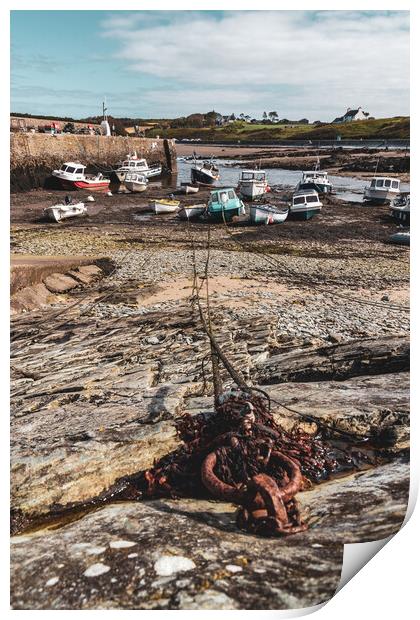 Cemaes harbor Print by Kevin Elias