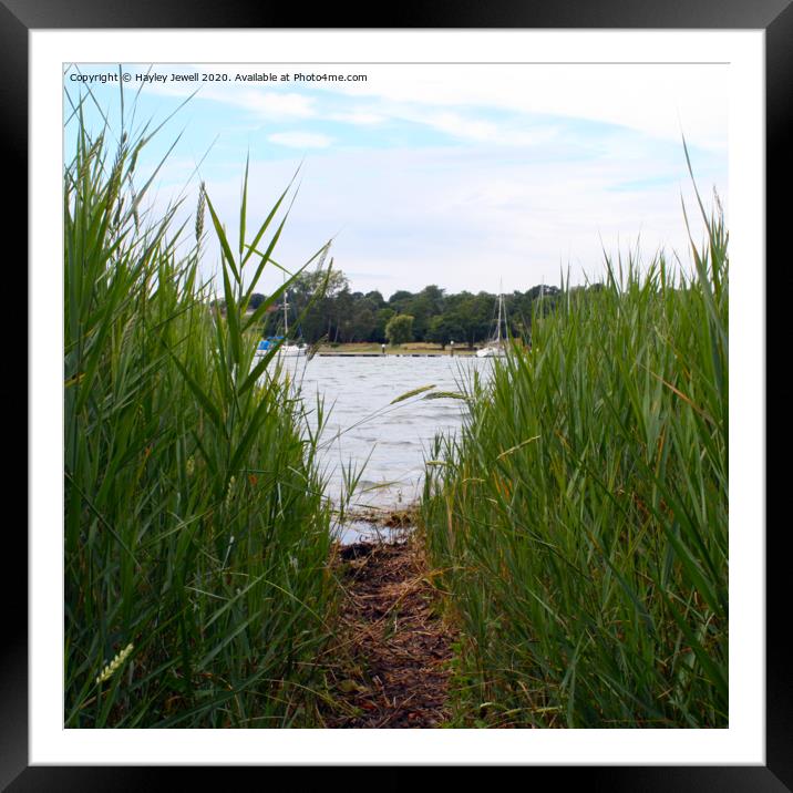 Through the grass Framed Mounted Print by Hayley Jewell