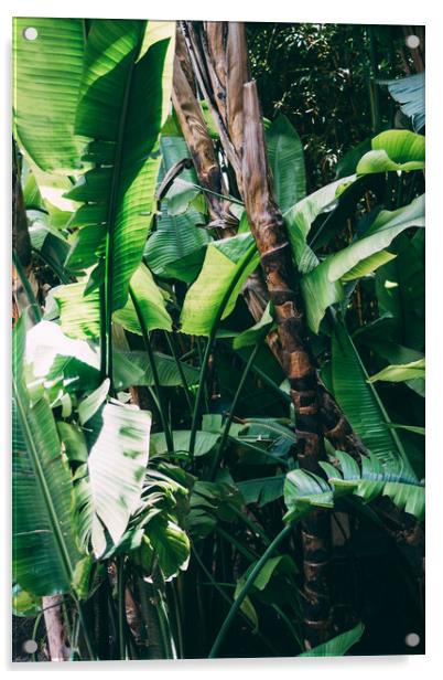Tropical Jungle leaves Acrylic by Patrycja Polechonska