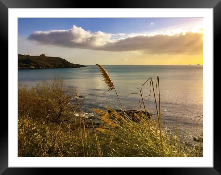 Castle beach Falmouth Sunset Splendour  Framed Mounted Print by Beryl Curran