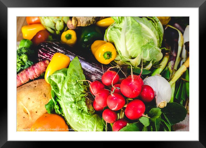 Vegetables, best health foods, radishes, onions, garlic, peppers, cabbage, broccoli. Framed Mounted Print by Joaquin Corbalan
