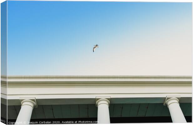 Seagull flying over an old building with large columns. Canvas Print by Joaquin Corbalan