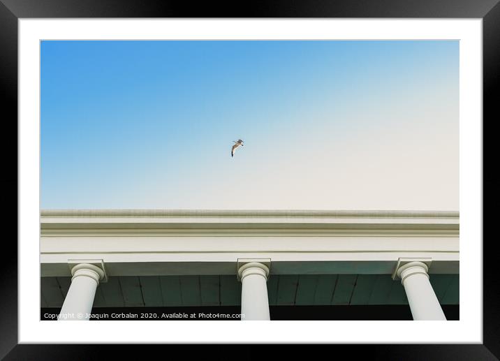 Seagull flying over an old building with large columns. Framed Mounted Print by Joaquin Corbalan