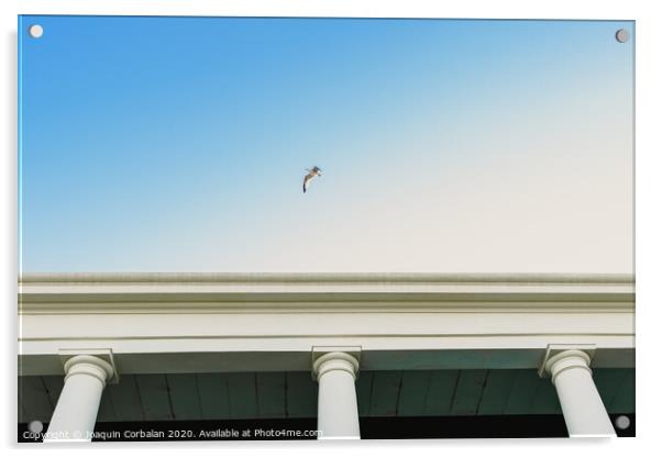 Seagull flying over an old building with large columns. Acrylic by Joaquin Corbalan
