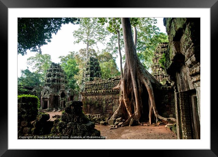 Religious temples in Cambodia of Angkor Wat Framed Mounted Print by Joaquin Corbalan