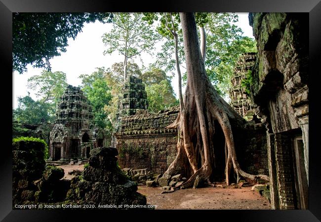 Religious temples in Cambodia of Angkor Wat Framed Print by Joaquin Corbalan