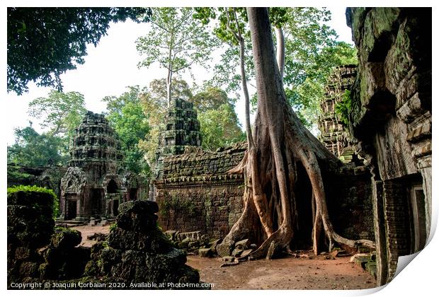 Religious temples in Cambodia of Angkor Wat Print by Joaquin Corbalan