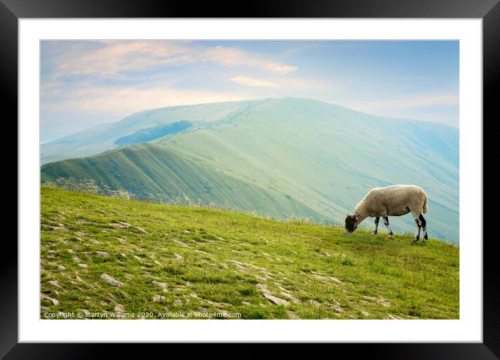 Sheep On Mam Tor Framed Mounted Print by Martyn Williams