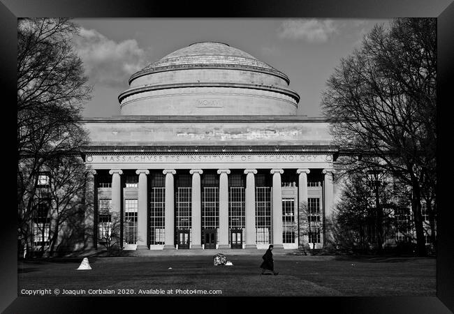  Man walking in front of the main building of MIT, Massachusetts Institute of Technology Framed Print by Joaquin Corbalan