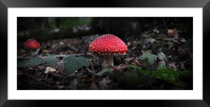 No home for a gnome Framed Mounted Print by Jon Fixter