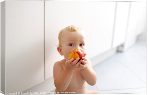 Baby led weaning, baby learning to eat with his first foods. Canvas Print by Joaquin Corbalan