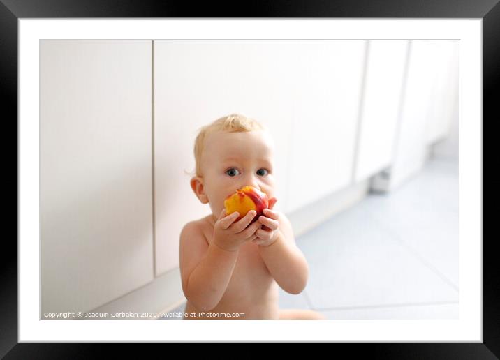 Baby led weaning, baby learning to eat with his first foods. Framed Mounted Print by Joaquin Corbalan