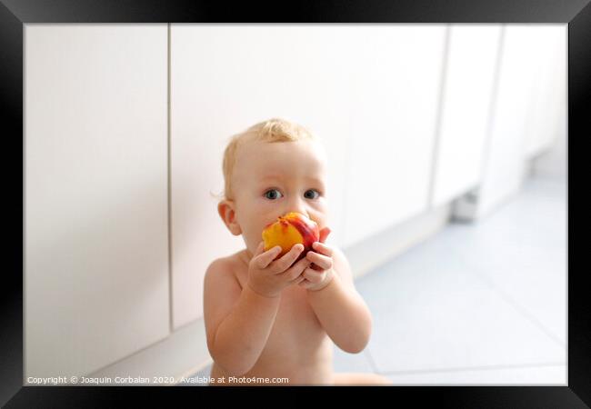 Baby led weaning, baby learning to eat with his first foods. Framed Print by Joaquin Corbalan