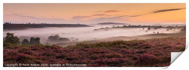 New Forest Summer Sunrise Print by Peter Barber