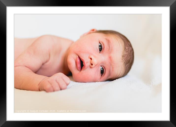 Face portrait of a newborn baby, calm and relaxed. Framed Mounted Print by Joaquin Corbalan