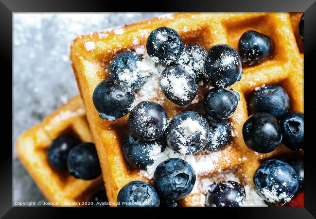 Close-up of waffles with tasty fruits cranberries, cherries and strawberries viewed from above, isolated on abstract background with copy space for text. Framed Print by Joaquin Corbalan