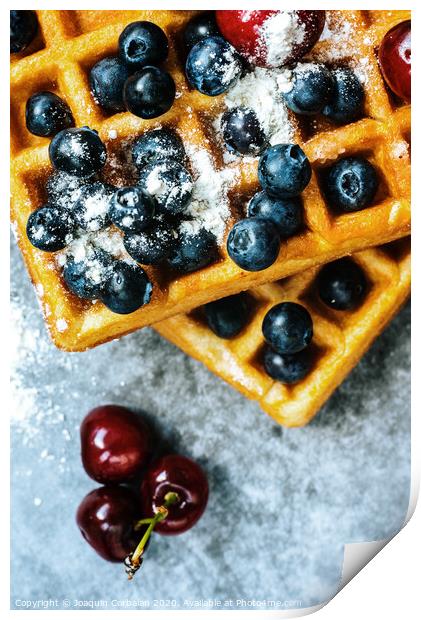 Close-up of waffles with tasty fruits cranberries, cherries and strawberries viewed from above, isolated on abstract background with copy space for text. Print by Joaquin Corbalan