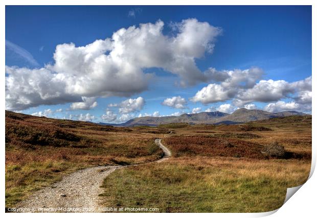 Bethecar Moor, near Coniston Water Print by Beverley Middleton