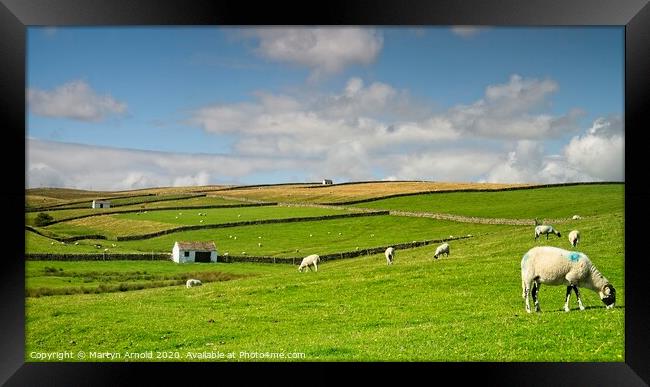 North Pennines Landscape Framed Print by Martyn Arnold