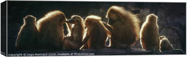 Sunshine monkeys Canvas Print by Ingo Menhard