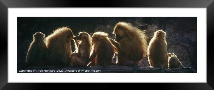 Sunshine monkeys Framed Mounted Print by Ingo Menhard