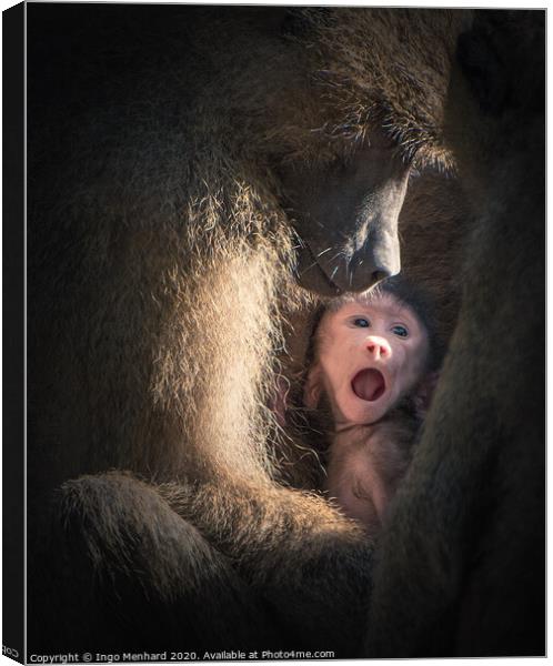 Save monkey baby Canvas Print by Ingo Menhard