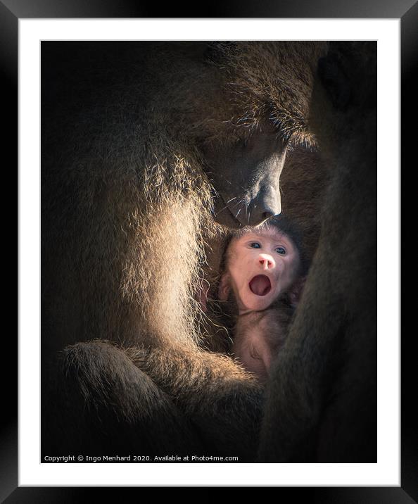 Save monkey baby Framed Mounted Print by Ingo Menhard