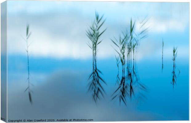 Reflected Reeds Canvas Print by Alan Crawford