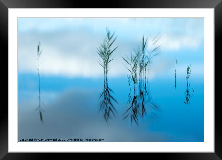 Reflected Reeds Framed Mounted Print by Alan Crawford