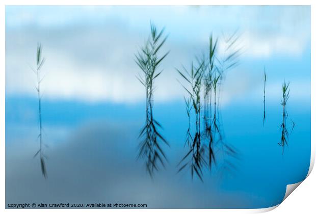 Reflected Reeds Print by Alan Crawford